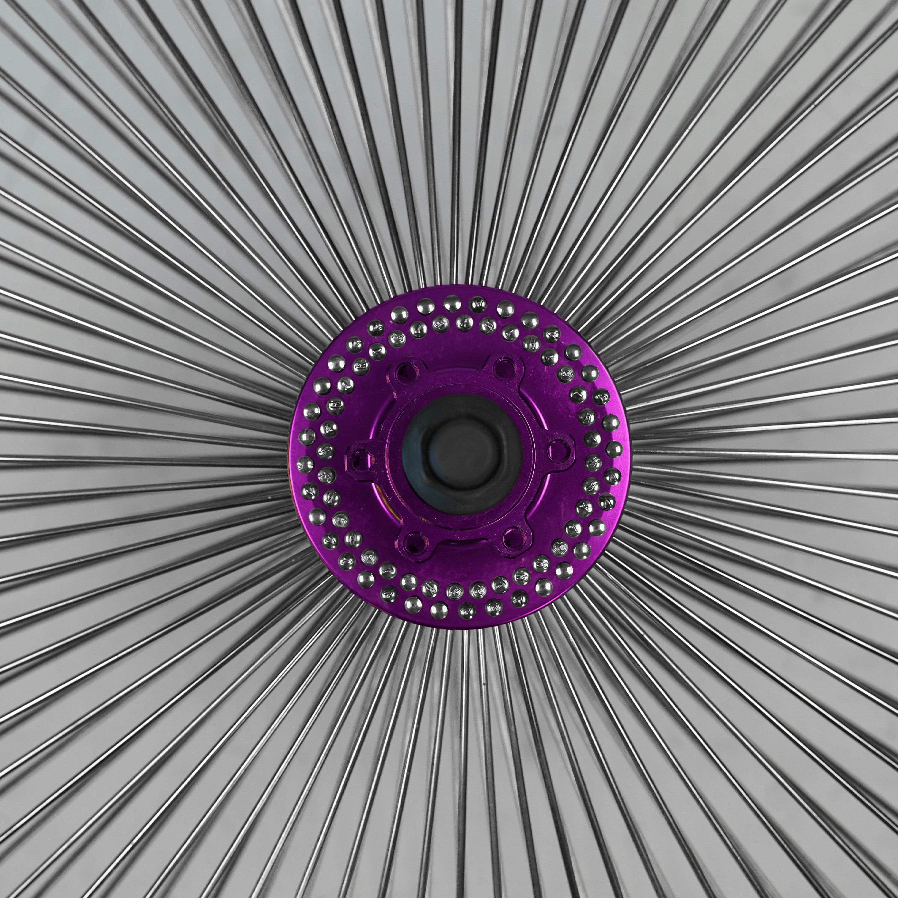 29" Disc Wheelset Purple - 144 Mister Cartoon