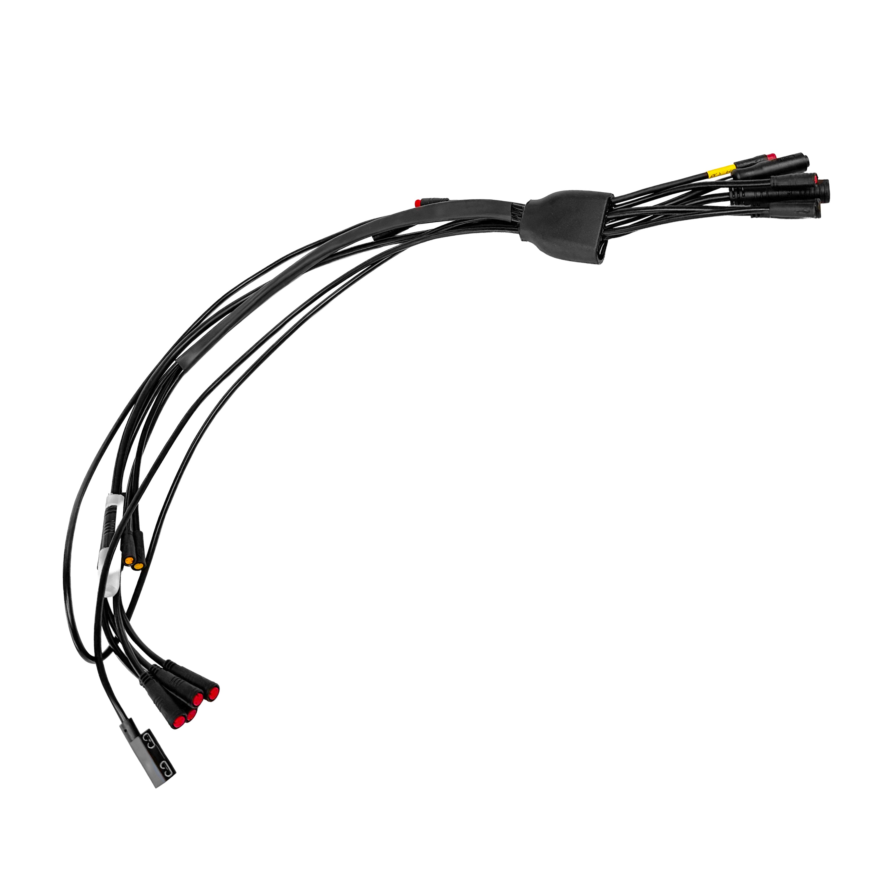 SRPNT - Wiring Harness