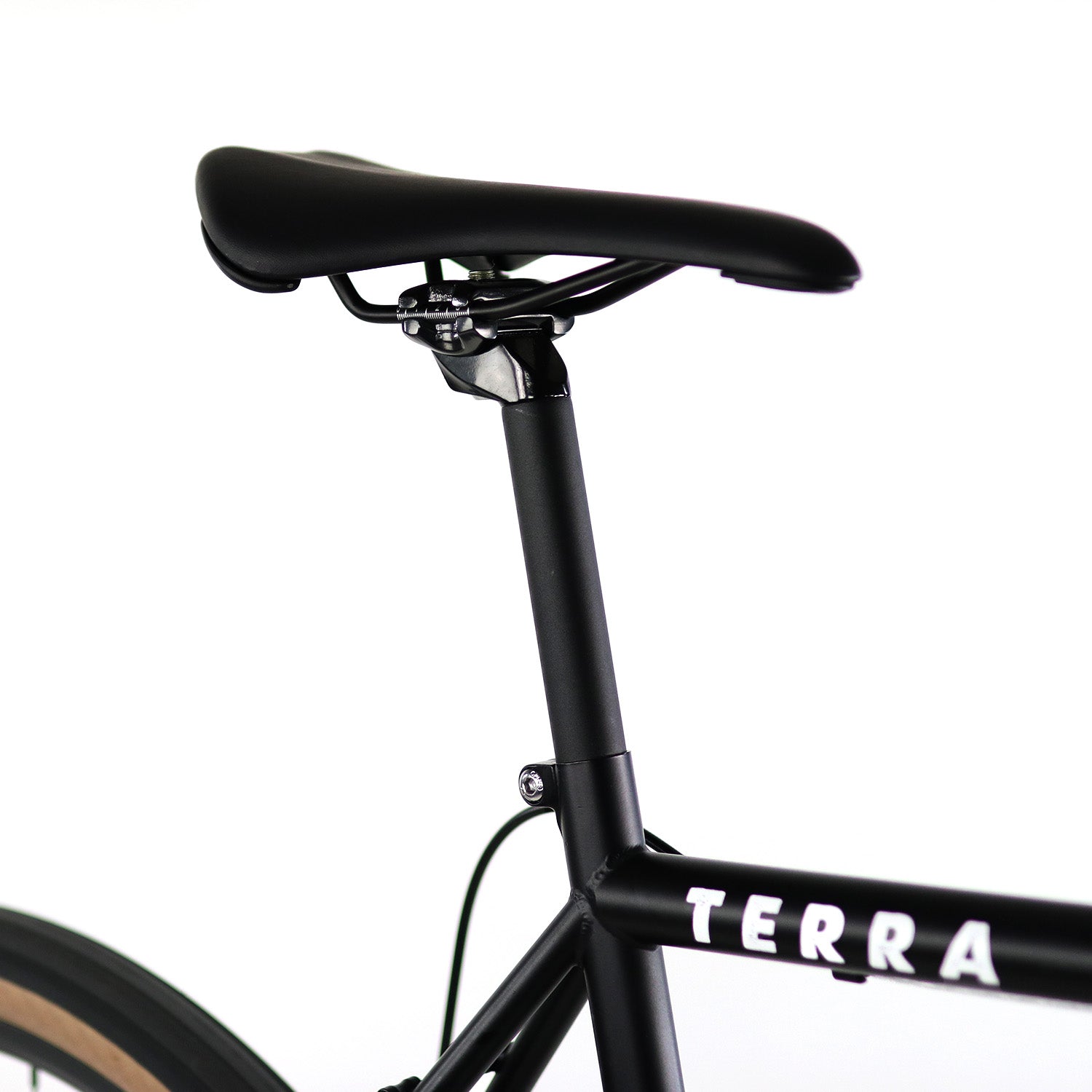 Terra Black Throne Cycles