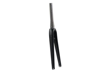 Throne Full Carbon Fork